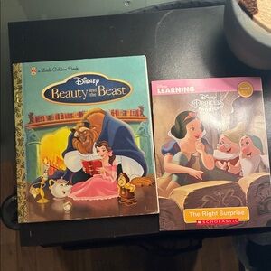 Disney Beauty and the Beast & Princess Learning Set